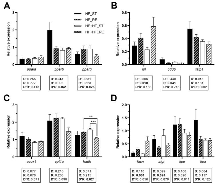 https://cdn.ncbi.nlm.nih.gov/pmc/blobs/b0a4/11047642/ae54b62da10c/antioxidants-13-00403-g003.jpg