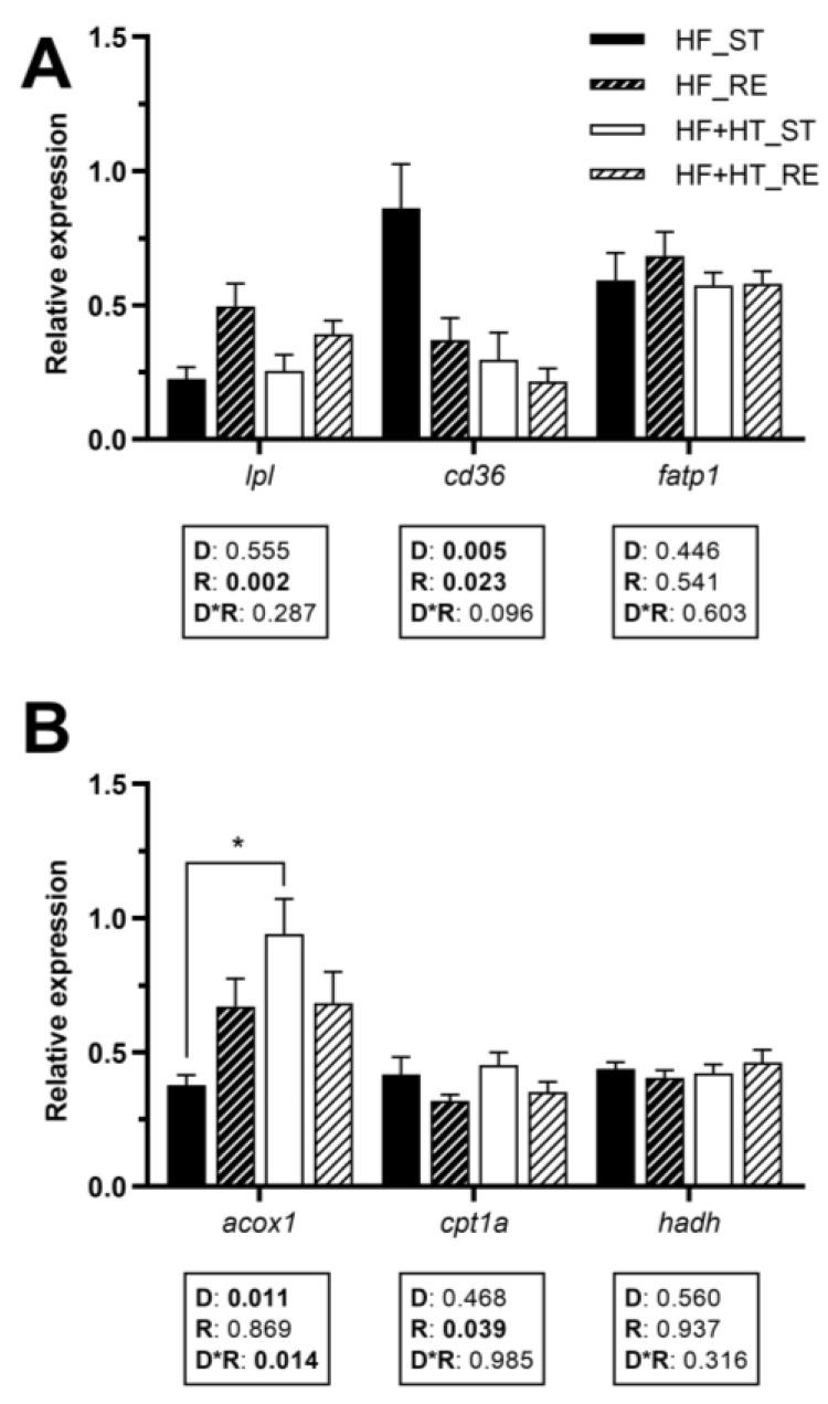 https://cdn.ncbi.nlm.nih.gov/pmc/blobs/b0a4/11047642/f5081d9be7af/antioxidants-13-00403-g004.jpg