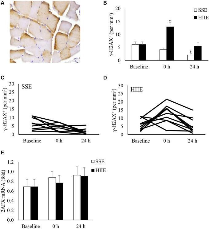 https://cdn.ncbi.nlm.nih.gov/pmc/blobs/b0a4/9970302/0a69faab1697/aging-15-204511-g004.jpg