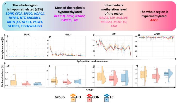 https://cdn.ncbi.nlm.nih.gov/pmc/blobs/b0f1/12371915/04fbc2e08253/epigenomes-09-00028-g001.jpg