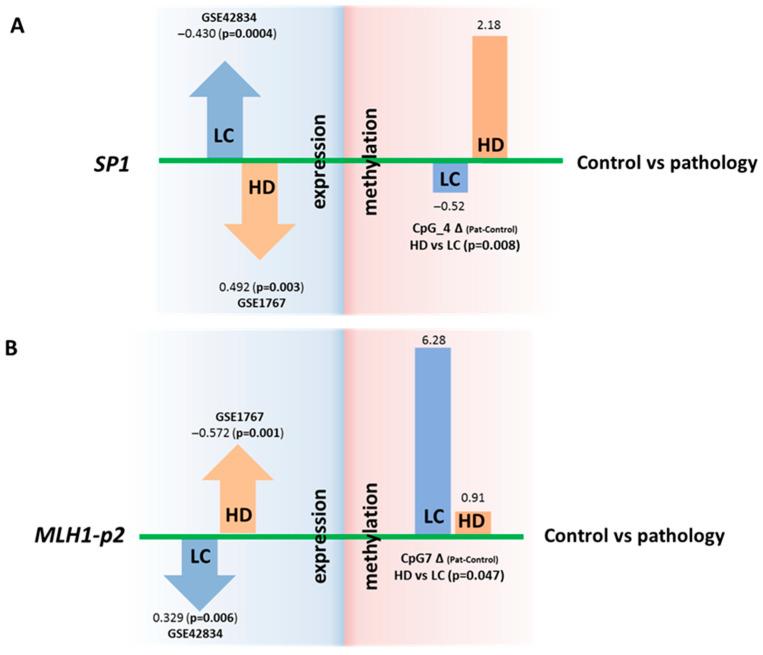 https://cdn.ncbi.nlm.nih.gov/pmc/blobs/b0f1/12371915/ce643e0788c1/epigenomes-09-00028-g004.jpg