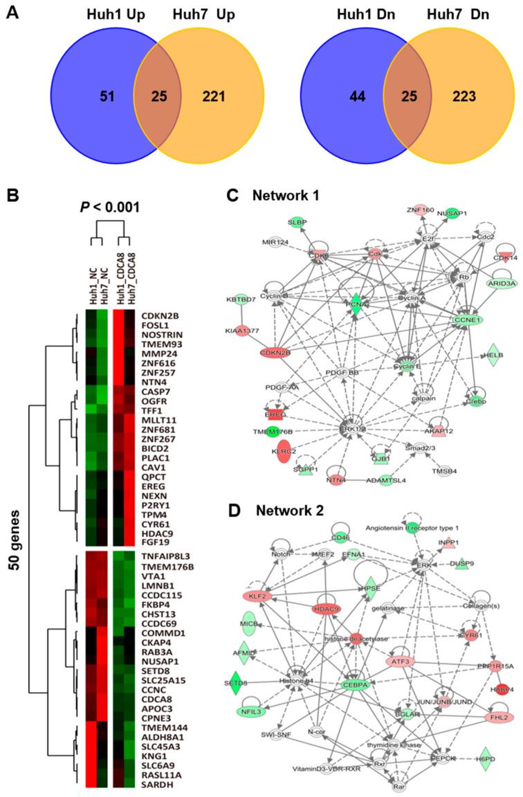 https://cdn.ncbi.nlm.nih.gov/pmc/blobs/b12c/7958635/25319a04c9c6/cancers-13-01055-g005.jpg