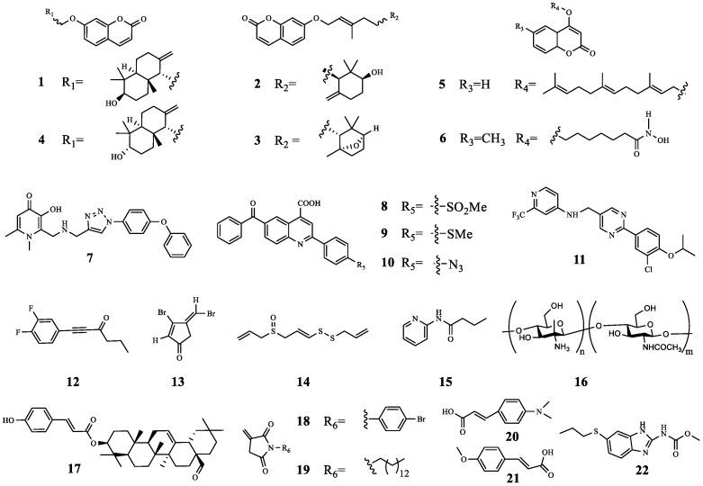 https://cdn.ncbi.nlm.nih.gov/pmc/blobs/b12e/11013322/3e1d540ee8e4/molecules-29-01674-g004.jpg