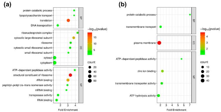 https://cdn.ncbi.nlm.nih.gov/pmc/blobs/b130/12197293/5436d9a670d1/proteomes-13-00019-g002.jpg