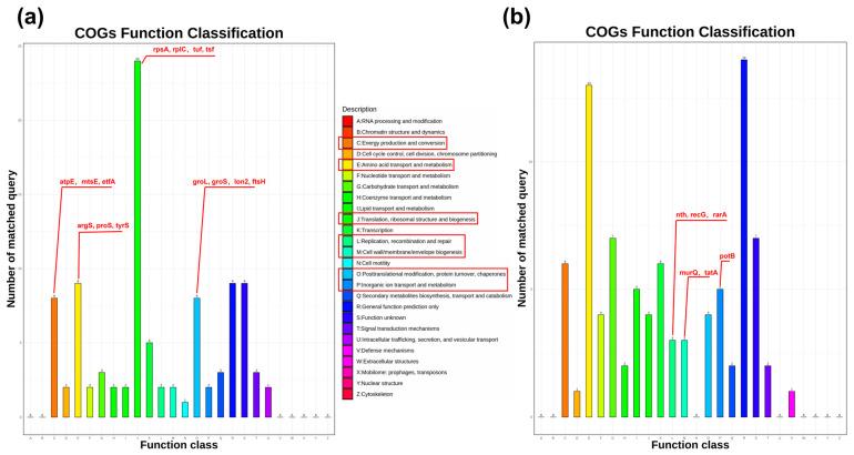 https://cdn.ncbi.nlm.nih.gov/pmc/blobs/b130/12197293/d38e50448d9a/proteomes-13-00019-g003.jpg