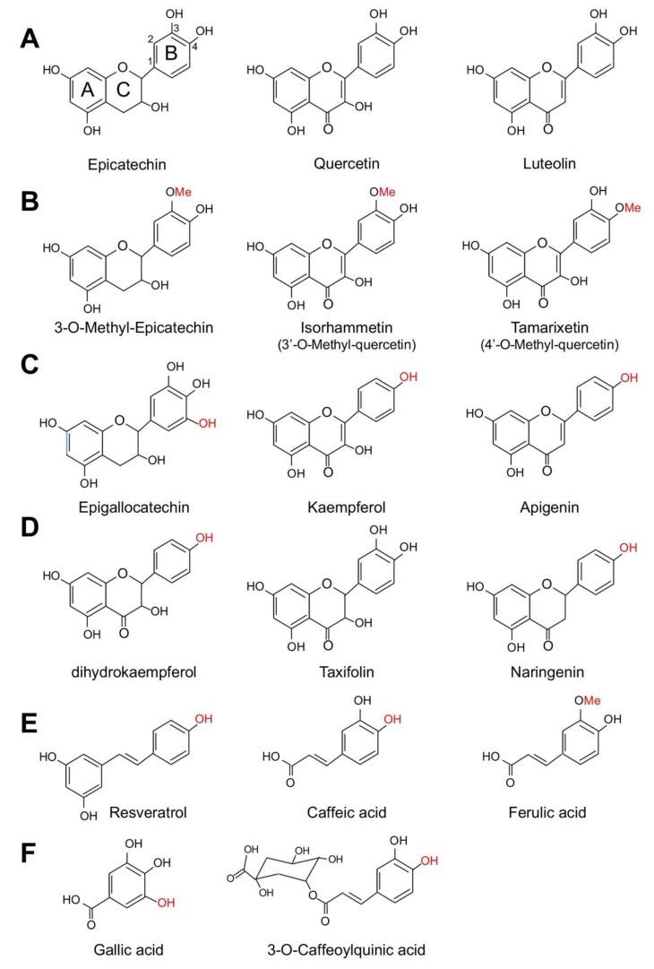 https://cdn.ncbi.nlm.nih.gov/pmc/blobs/b135/6357531/921319c0e843/nutrients-11-00053-g002.jpg
