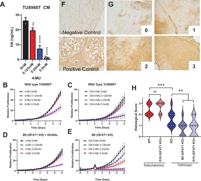https://cdn.ncbi.nlm.nih.gov/pmc/blobs/b158/8730721/6e9c4f2bc5cb/elife-62645-fig4.jpg