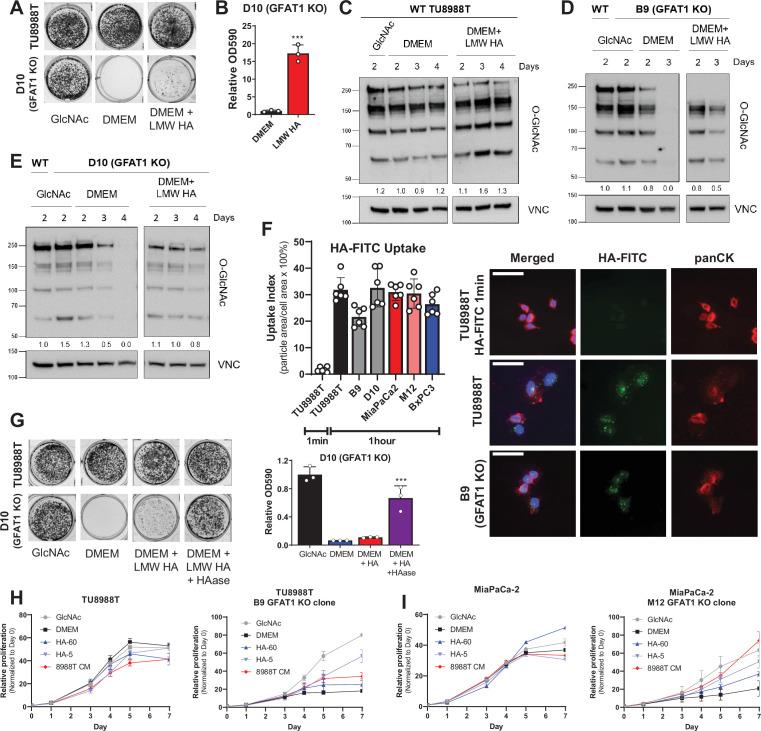 https://cdn.ncbi.nlm.nih.gov/pmc/blobs/b158/8730721/ce32e3740567/elife-62645-fig3.jpg