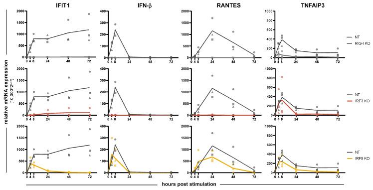 https://cdn.ncbi.nlm.nih.gov/pmc/blobs/b184/8533862/13a0414598a5/cells-10-02600-g003.jpg