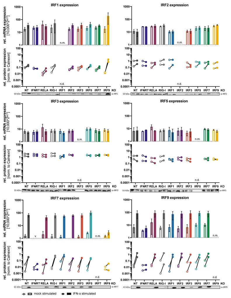 https://cdn.ncbi.nlm.nih.gov/pmc/blobs/b184/8533862/7d6120faacb5/cells-10-02600-g001.jpg
