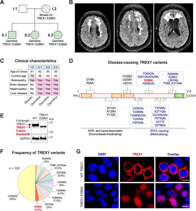 https://cdn.ncbi.nlm.nih.gov/pmc/blobs/b193/11645301/a9cbedb6af35/10875_2024_1846_Fig1_HTML.jpg