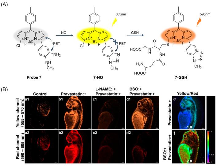 https://cdn.ncbi.nlm.nih.gov/pmc/blobs/b1d3/11434280/03d1540a616e/molecules-29-04333-g010.jpg