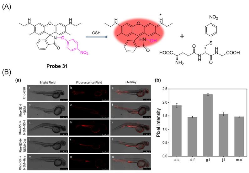 https://cdn.ncbi.nlm.nih.gov/pmc/blobs/b1d3/11434280/15e27e801b90/molecules-29-04333-g038.jpg