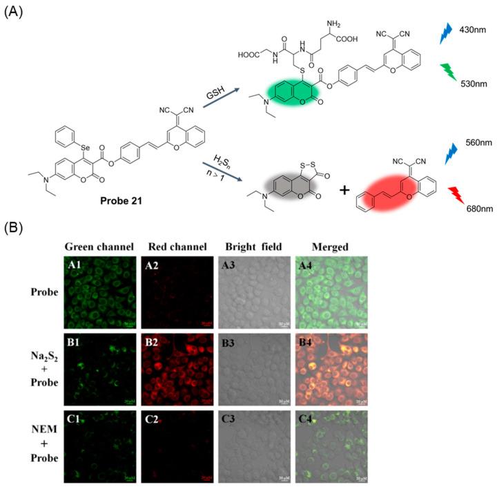 https://cdn.ncbi.nlm.nih.gov/pmc/blobs/b1d3/11434280/26233f2c0b72/molecules-29-04333-g026.jpg