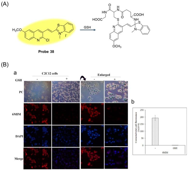 https://cdn.ncbi.nlm.nih.gov/pmc/blobs/b1d3/11434280/335b2978375f/molecules-29-04333-g047.jpg