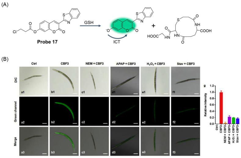 https://cdn.ncbi.nlm.nih.gov/pmc/blobs/b1d3/11434280/356818c532f6/molecules-29-04333-g022.jpg