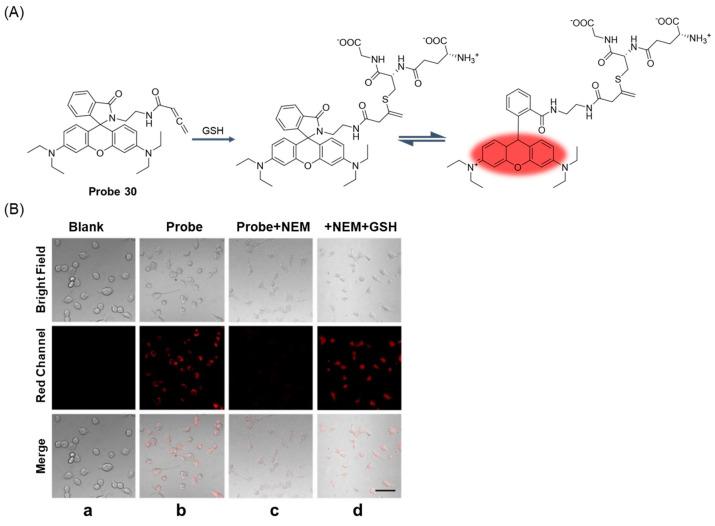 https://cdn.ncbi.nlm.nih.gov/pmc/blobs/b1d3/11434280/7aa91a9a7c42/molecules-29-04333-g037.jpg