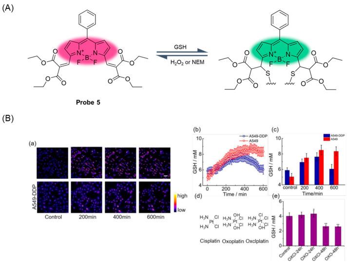 https://cdn.ncbi.nlm.nih.gov/pmc/blobs/b1d3/11434280/bda49930f33b/molecules-29-04333-g008.jpg