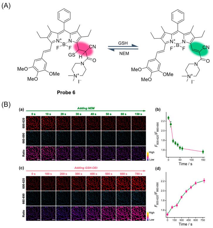 https://cdn.ncbi.nlm.nih.gov/pmc/blobs/b1d3/11434280/d1811122ced4/molecules-29-04333-g009.jpg