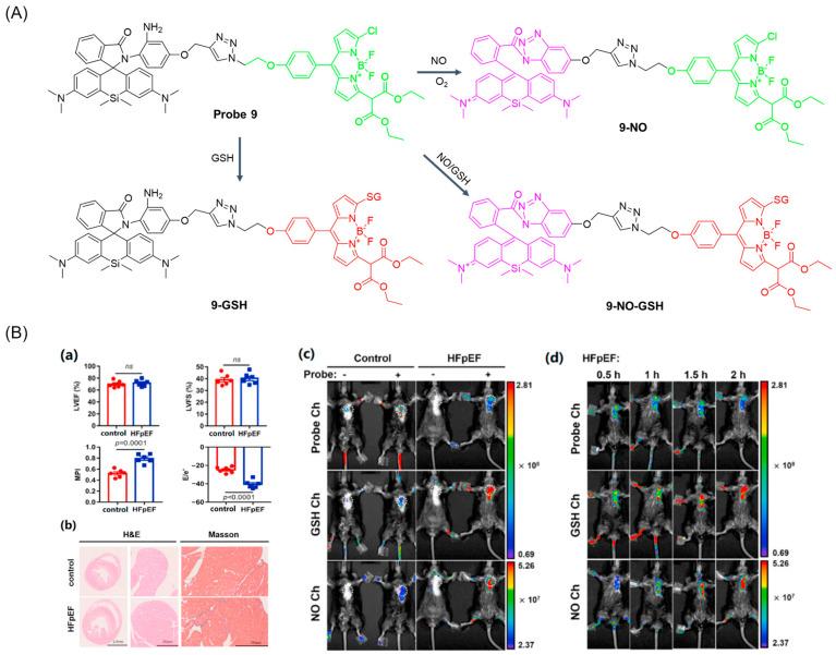 https://cdn.ncbi.nlm.nih.gov/pmc/blobs/b1d3/11434280/dd1c68062450/molecules-29-04333-g012.jpg