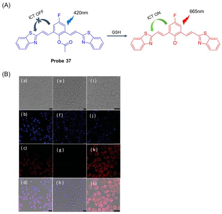 https://cdn.ncbi.nlm.nih.gov/pmc/blobs/b1d3/11434280/e06d6d16c7b1/molecules-29-04333-g046.jpg