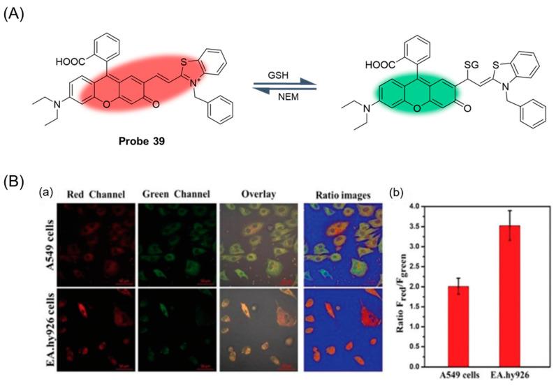 https://cdn.ncbi.nlm.nih.gov/pmc/blobs/b1d3/11434280/e3bd78bc4616/molecules-29-04333-g048.jpg