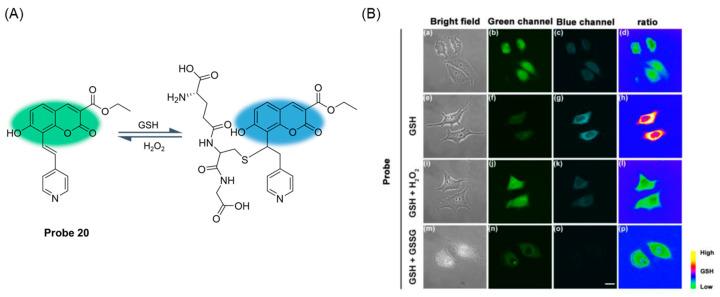 https://cdn.ncbi.nlm.nih.gov/pmc/blobs/b1d3/11434280/ea3abc8aa693/molecules-29-04333-g025.jpg