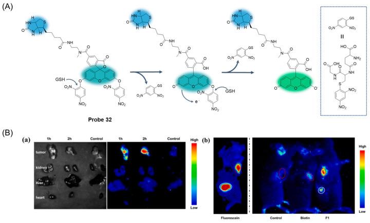 https://cdn.ncbi.nlm.nih.gov/pmc/blobs/b1d3/11434280/f0f886188d51/molecules-29-04333-g039.jpg