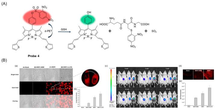 https://cdn.ncbi.nlm.nih.gov/pmc/blobs/b1d3/11434280/f5cb9a588778/molecules-29-04333-g007.jpg