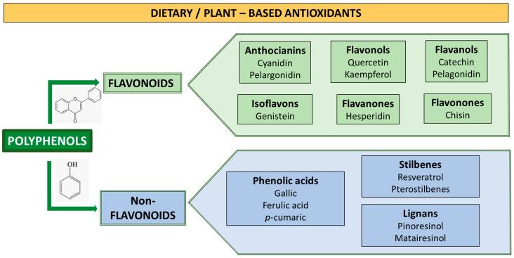 https://cdn.ncbi.nlm.nih.gov/pmc/blobs/b1f5/11206163/7e3b2b24c1ba/metabolites-14-00327-g001.jpg