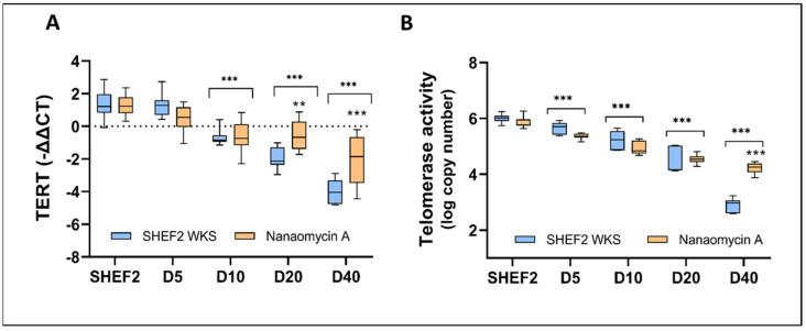 https://cdn.ncbi.nlm.nih.gov/pmc/blobs/b1f6/10813121/1fe935572780/biomolecules-14-00131-g006.jpg