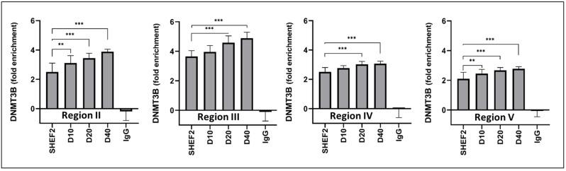 https://cdn.ncbi.nlm.nih.gov/pmc/blobs/b1f6/10813121/f0fb894f88e8/biomolecules-14-00131-g008.jpg