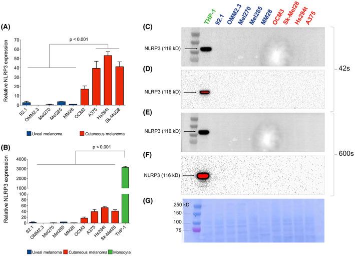https://cdn.ncbi.nlm.nih.gov/pmc/blobs/b210/9989921/43ec1d9e8327/FEB4-13-545-g003.jpg