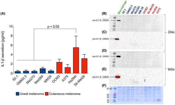 https://cdn.ncbi.nlm.nih.gov/pmc/blobs/b210/9989921/8615e76b2b0c/FEB4-13-545-g004.jpg