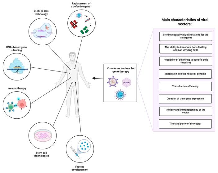 https://cdn.ncbi.nlm.nih.gov/pmc/blobs/b216/11592828/feecbfb5738a/cells-13-01916-g001.jpg