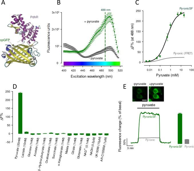 https://cdn.ncbi.nlm.nih.gov/pmc/blobs/b21c/7077990/a52efbcf0099/elife-53917-fig1.jpg