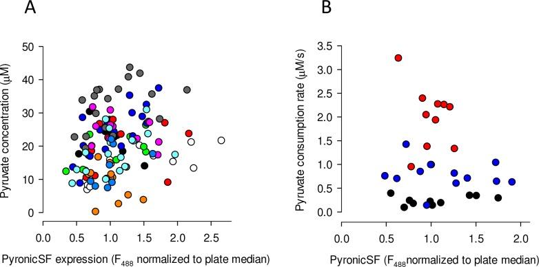 https://cdn.ncbi.nlm.nih.gov/pmc/blobs/b21c/7077990/ce7836310205/elife-53917-fig3-figsupp3.jpg