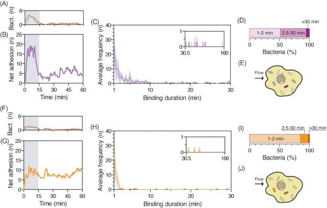 https://cdn.ncbi.nlm.nih.gov/pmc/blobs/b23b/10117878/9ac38a5c7400/xtad007fig3.jpg