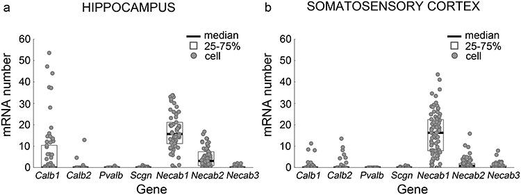 https://cdn.ncbi.nlm.nih.gov/pmc/blobs/b245/7869086/c4a3c102b09f/bhaa326f1.jpg