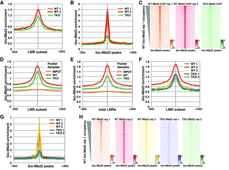 https://cdn.ncbi.nlm.nih.gov/pmc/blobs/b25a/5111885/2d0afc6067b4/elife-21964-fig1.jpg