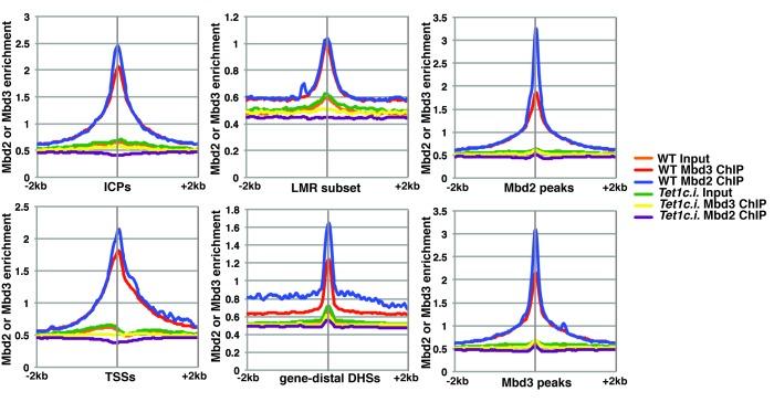 https://cdn.ncbi.nlm.nih.gov/pmc/blobs/b25a/5111885/4e235c09412a/elife-21964-fig3.jpg