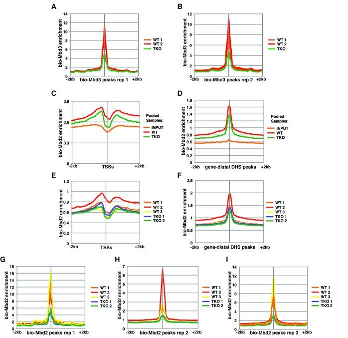https://cdn.ncbi.nlm.nih.gov/pmc/blobs/b25a/5111885/502a57a47cc7/elife-21964-fig1-figsupp1.jpg