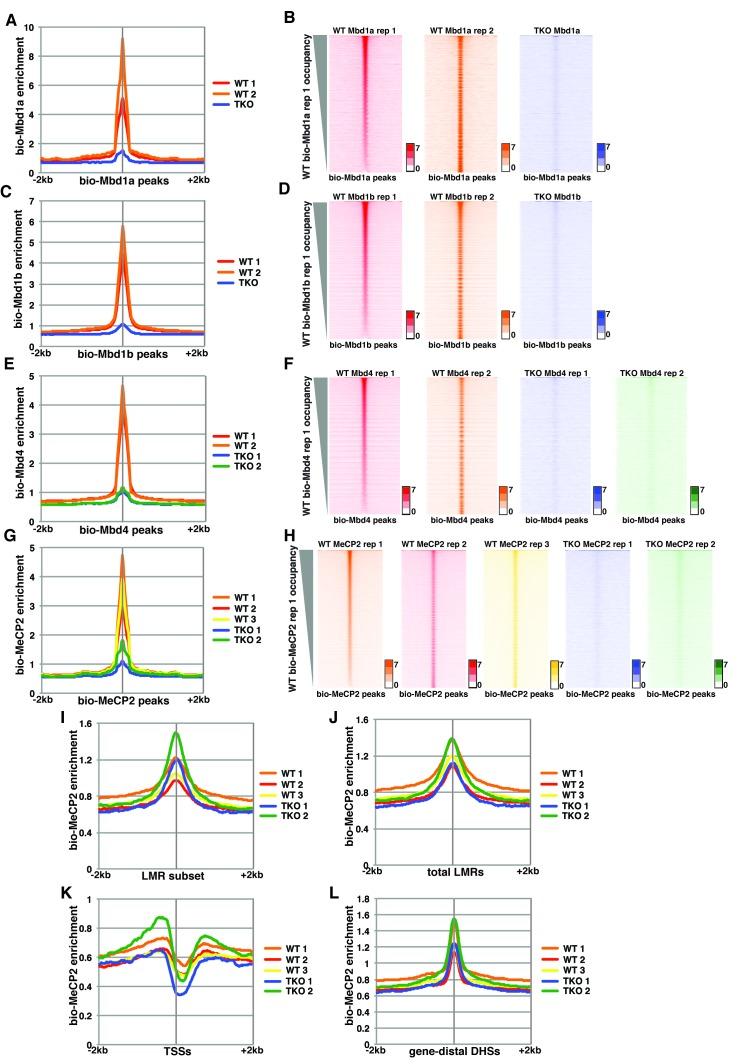 https://cdn.ncbi.nlm.nih.gov/pmc/blobs/b25a/5111885/afafce775927/elife-21964-fig1-figsupp2.jpg