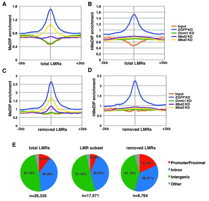 https://cdn.ncbi.nlm.nih.gov/pmc/blobs/b25a/5111885/da97fba38c7b/elife-21964-fig4-figsupp1.jpg