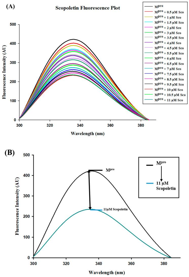 https://cdn.ncbi.nlm.nih.gov/pmc/blobs/b265/11945487/70151c45e34c/viruses-17-00402-g005.jpg