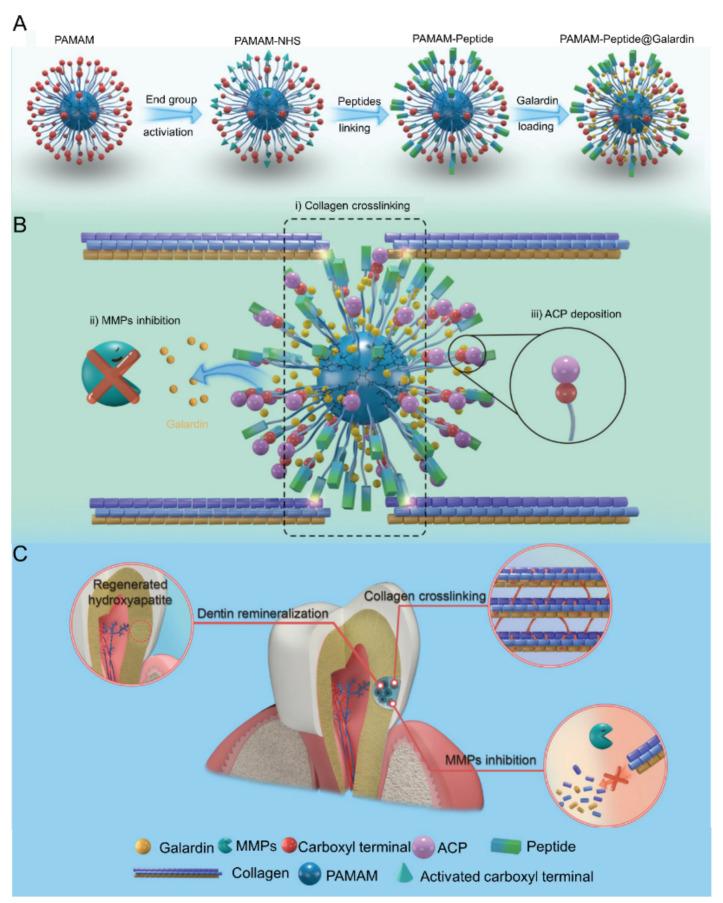 https://cdn.ncbi.nlm.nih.gov/pmc/blobs/b266/10489995/087eb6839bf3/molecules-28-06373-g002.jpg