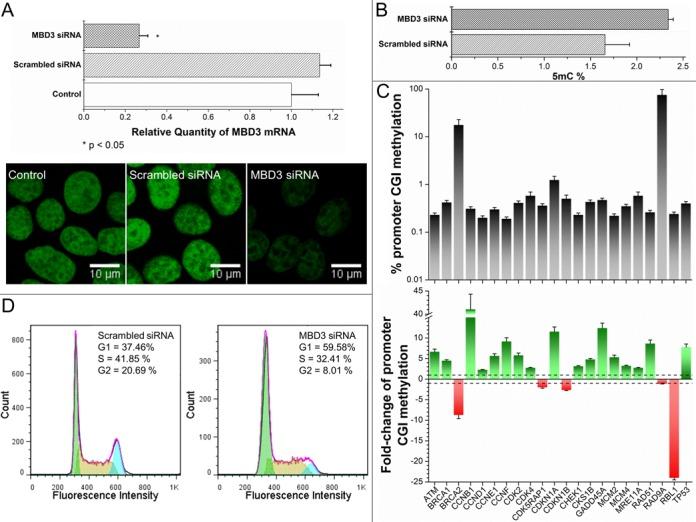 https://cdn.ncbi.nlm.nih.gov/pmc/blobs/b26c/4381056/d12926fb0071/gkv098fig6.jpg