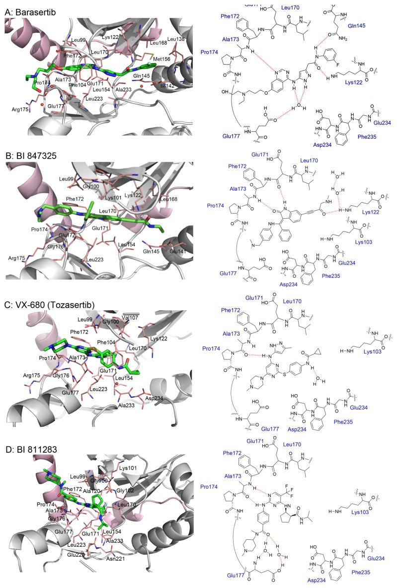 https://cdn.ncbi.nlm.nih.gov/pmc/blobs/b27e/10144992/88590e565504/molecules-28-03385-g002a.jpg