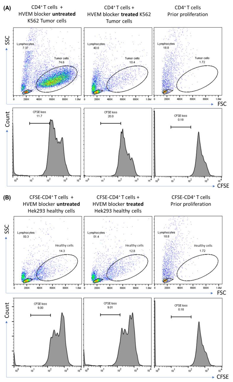 https://cdn.ncbi.nlm.nih.gov/pmc/blobs/b29b/11117912/8efab739a8e8/biomolecules-14-00523-g003.jpg