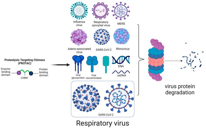 https://cdn.ncbi.nlm.nih.gov/pmc/blobs/b2b3/12297968/685b10126706/microorganisms-13-01557-g005.jpg
